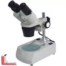 عکس های گالری