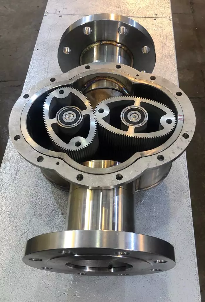 عکس های گالری